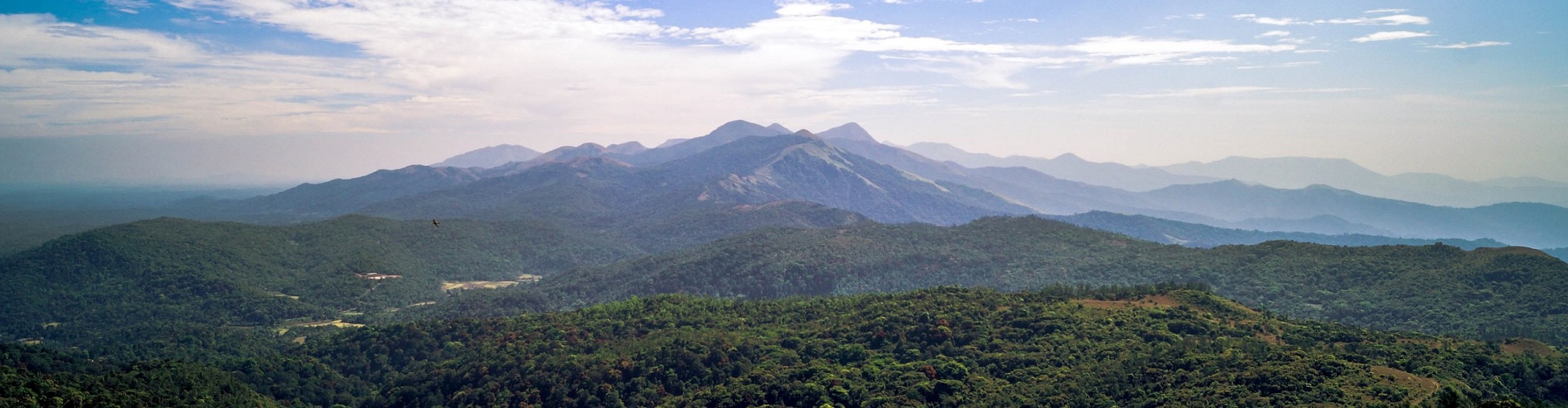 Coorg